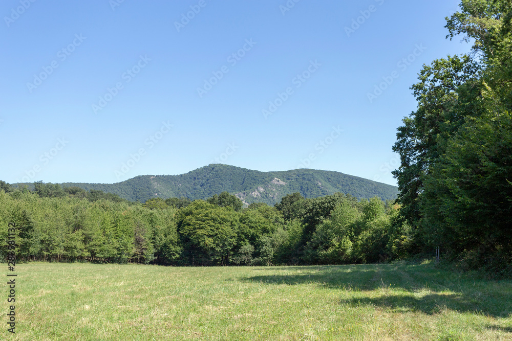Open meadow in the Pilis mountains, Hungary.