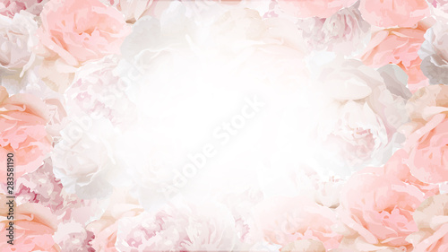 Web vector background 1920, 1080 px.Web background with beautiful roses . Pink color roses with bright center