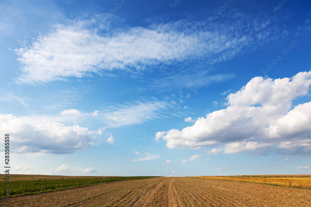 Field and blue sky. Landscape after the harvest Field and blue sky. Landscape after the harvest