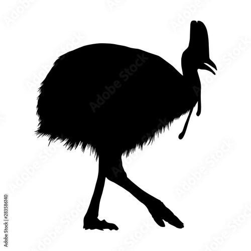 Cassowary (Casuarius) is a large species of flightless bird, Silhouette Style, Found in the forests of Papua New Guinea, North And Eastern Australia