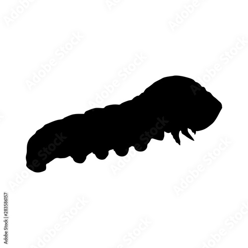 Caterpillar (Larva), Silhouette Style, Class Insecta, Location Worldwide photo