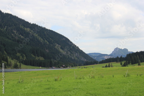 Im Allgäu