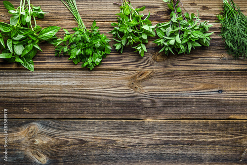 Bunches of fresh herbs from the garden. Mint, dill, parsley and basil herb, background with copy space.