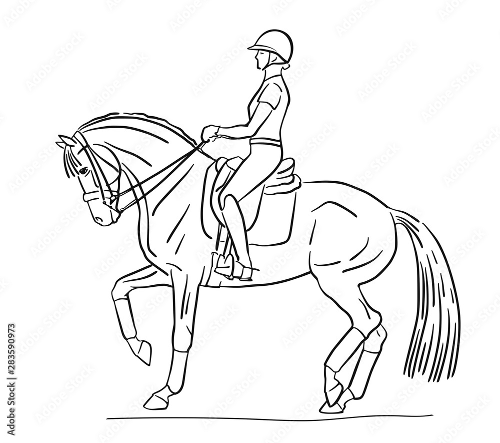 Sketch of a rider and horse execute the piaffe Sketch of a rider and horse execute the piaffe