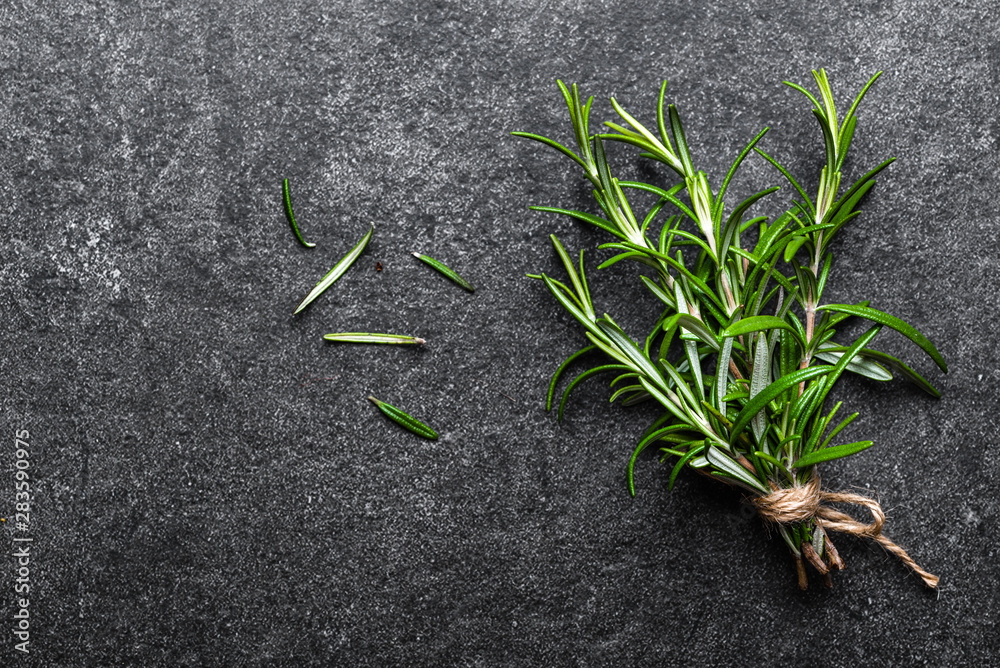 Fresh rosemary plant. Bunch of rosemary herbs on black background. Fresh rosemary plant. Bunch of rosemary herbs on black background.