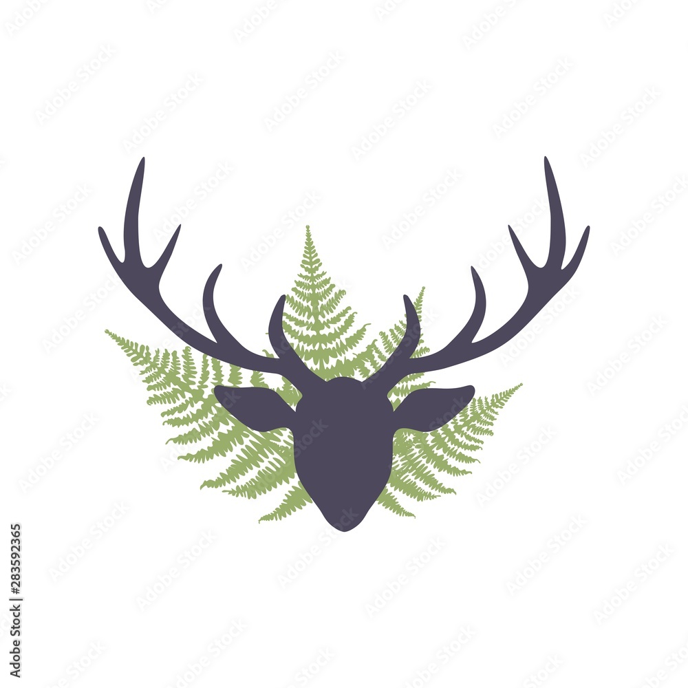 Obraz premium Fern and deer horns