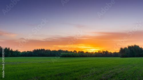 Sunset in the field.