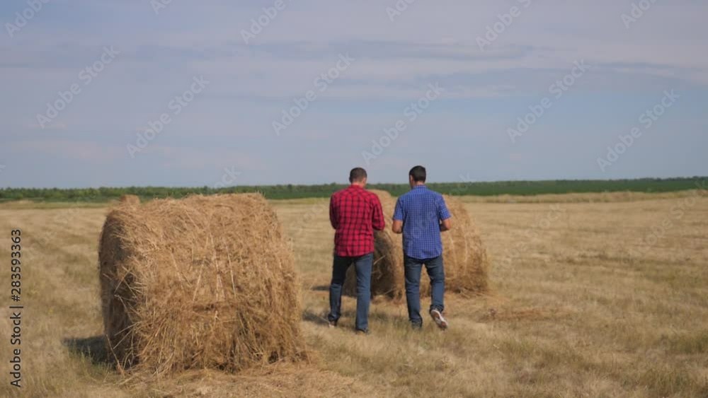 teamwork agriculture smart farming concept. two men farmers lifestyle workers walking studying haystack in field on digital tablet. teamwork slow motion video. people agronomist botanist farmers teamwork agriculture smart farming concept. two men farmers lifestyle workers walking studying haystack in field on digital tablet. teamwork slow motion video. people agronomist botanist farmers