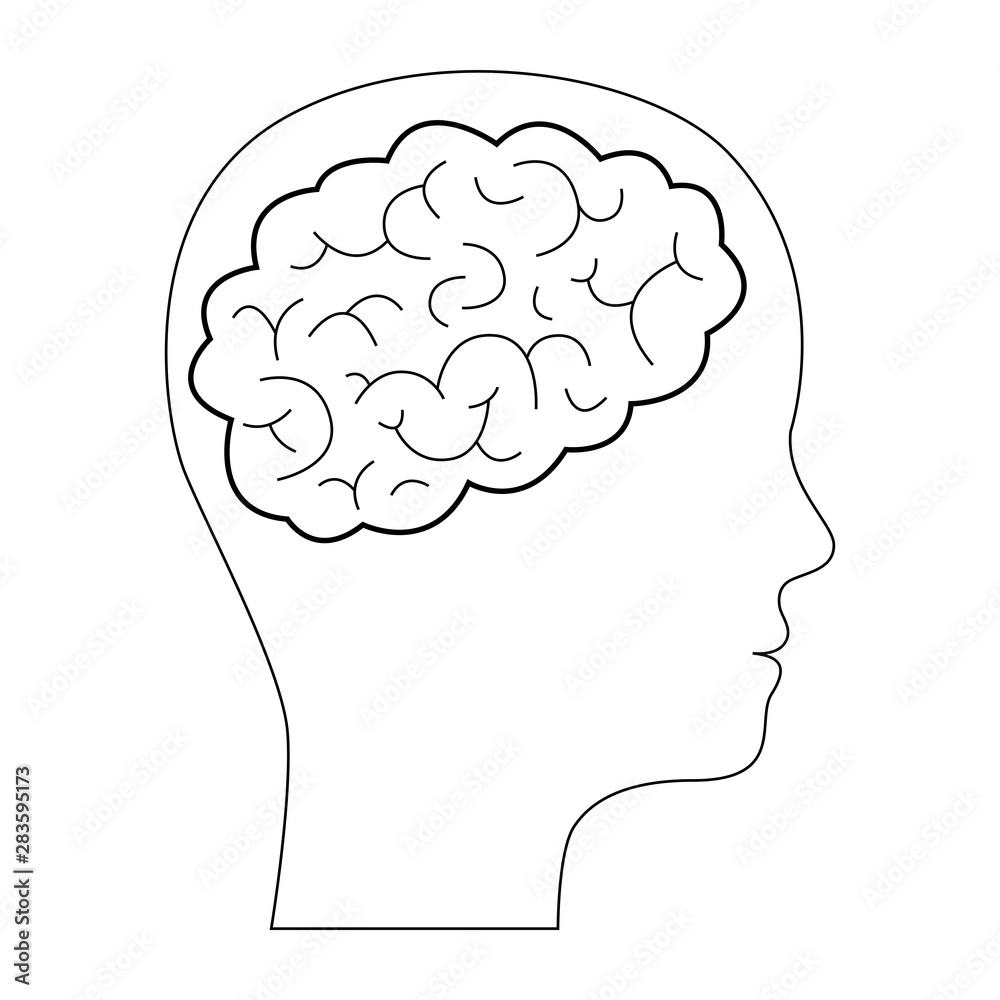 Contour black silhouette human face with brain inside. Profile of face of schoolboy, student. Brain development at young age. Vector illustration Contour black silhouette human face with brain inside. Profile of face of schoolboy, student. Brain development at young age. Vector illustration