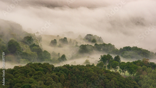 Fog over the landscape