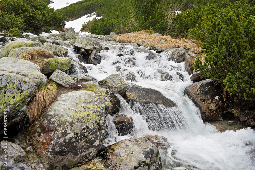 Small creek in mountains flowing over large rocks, low coniferous trees and remains of snow in background