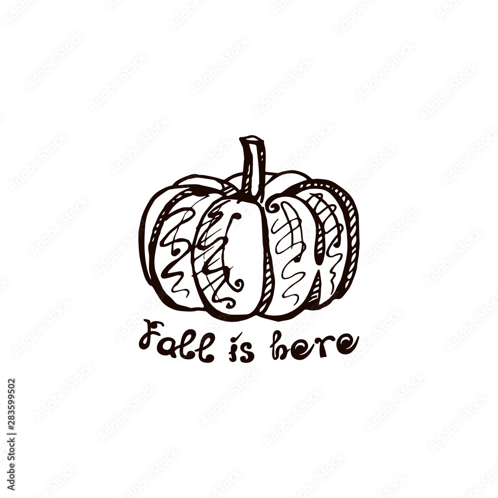 Autumn hand drawn pumpkin with lettering isolated on white