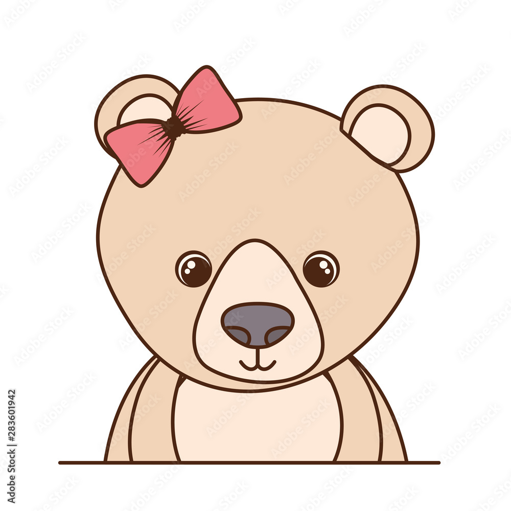 cute and adorable bear with white background cute and adorable bear with white background