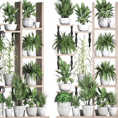 decorative shelf with flower pots, vertical garden 
