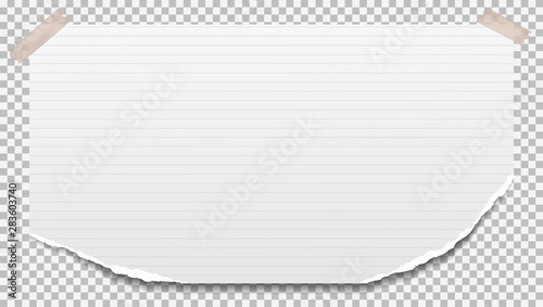 White ripped lined notebook, copybook paper sheet are on grey squared background. Vector illustration