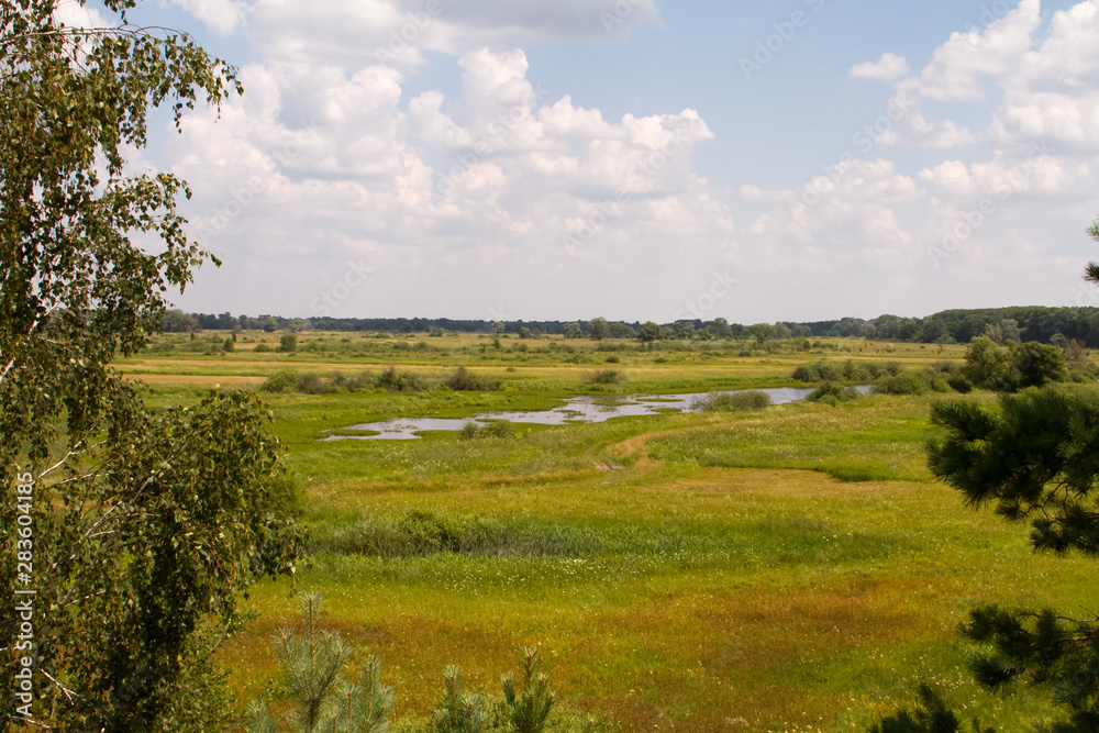 Landscape of grassy meadow and a small river against the blue sky, selective focus