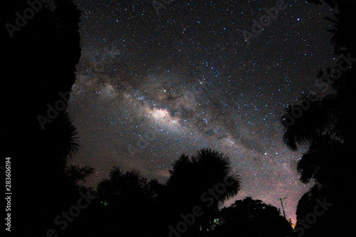 Milky way over the Amazon Jungle