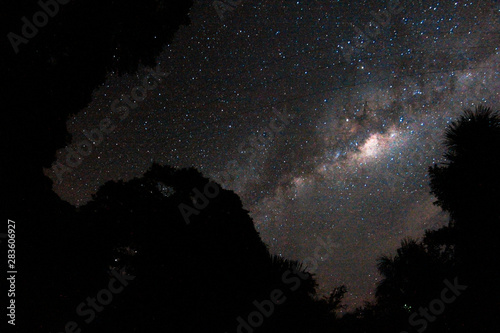 Milky way over the Amazon Jungle