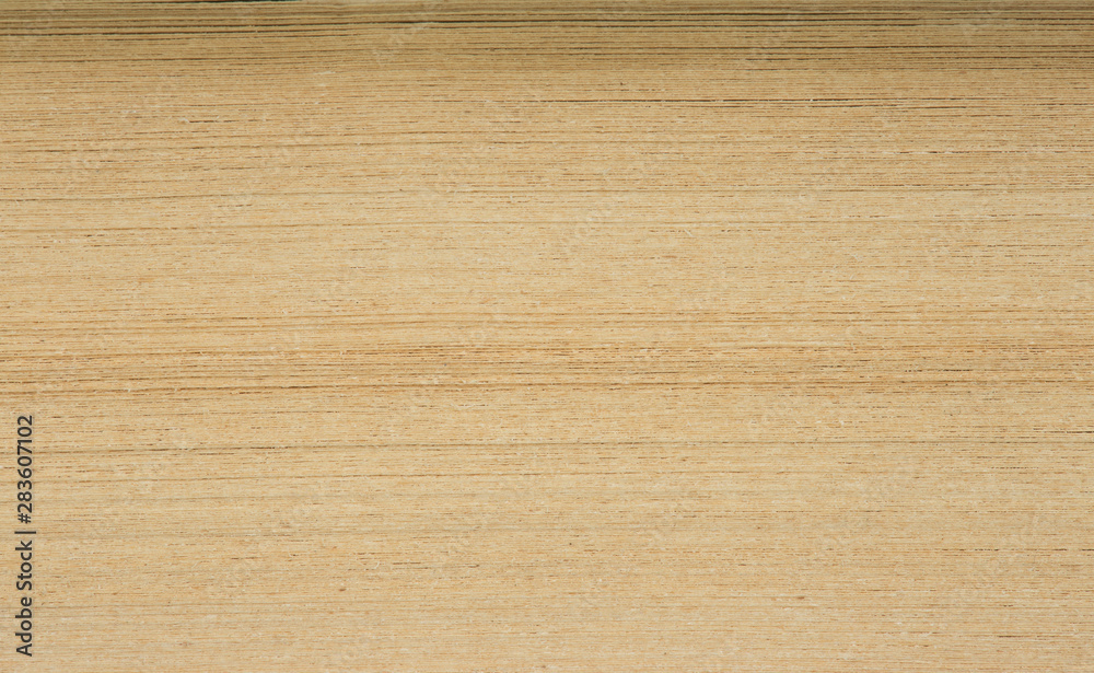 Macro view of book pages, education and reading concept