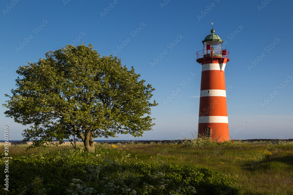 Lighthouse of Närsholmen with tree under a cloudless sky in late afternoon sunlight, Gotland, Sweden Lighthouse of Närsholmen with tree under a cloudless sky in late afternoon sunlight, Gotland, Sweden