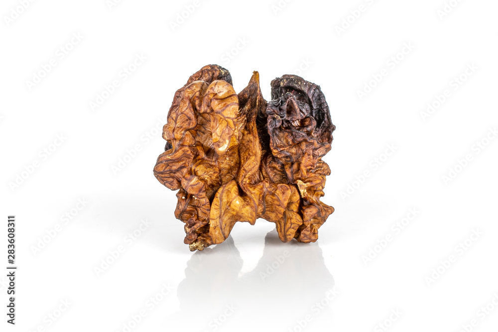 One whole rotten brown walnut isolated on white background One whole rotten brown walnut isolated on white background