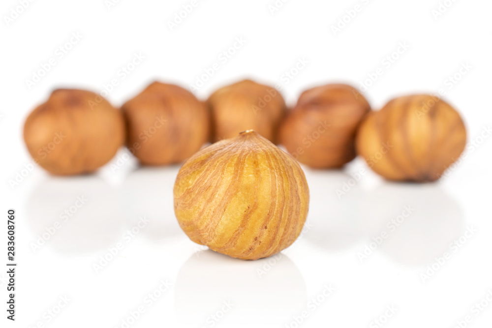 Group of six whole ripe brown hazelnut in closeup isolated on white background Group of six whole ripe brown hazelnut in closeup isolated on white background