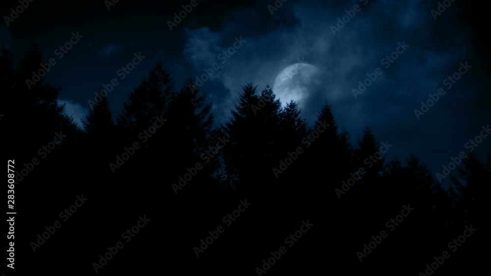 Full Moon Revealed Above The Trees Full Moon Revealed Above The Trees