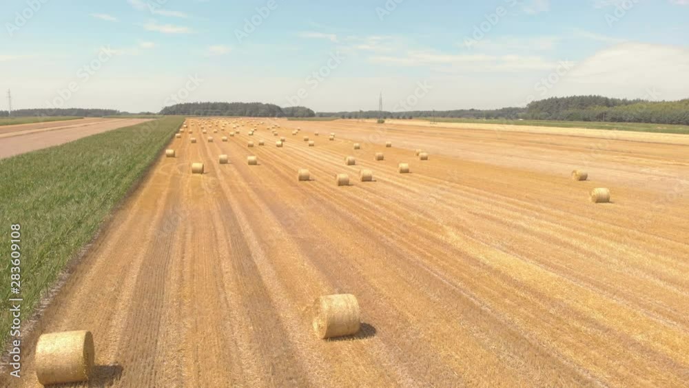 Cinematic aerial of farm field with many bays of hay. Drone flying forward and filming partially sideways. Golden and yellow colors. Poland. Europe. Cinematic aerial of farm field with many bays of hay. Drone flying forward and filming partially sideways. Golden and yellow colors. Poland. Europe.