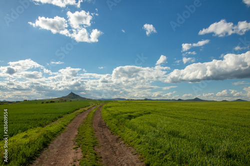 A path leading among fresh green fields. A hill with castle ruin in the background.