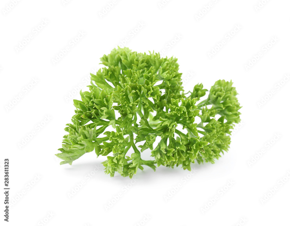 Fresh green organic parsley on white background Fresh green organic parsley on white background