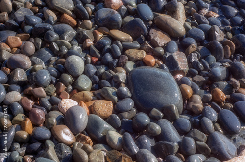 SEA STONES COAST ROUND WET