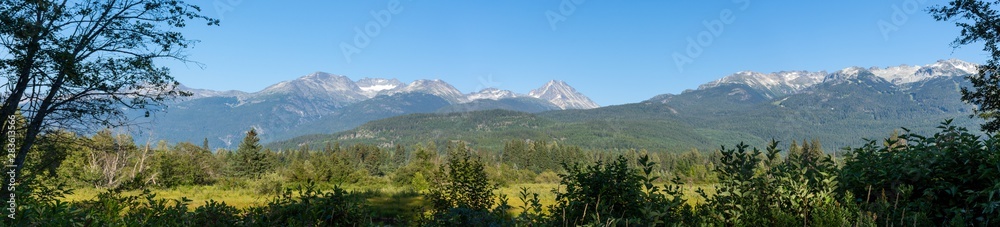 Panorama of beautiful trees and forest in Whistler/Blackcomb, Wedgemont Mountain and the Singing Pass Mountain Range in British Columbia, Canada.