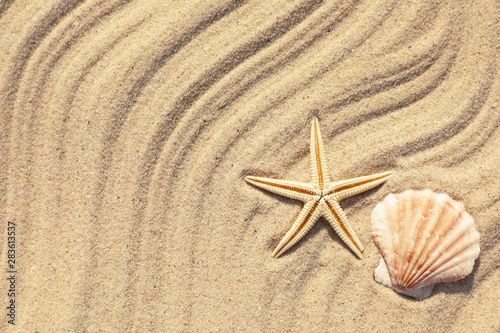 Starfish and seashell on beach sand with wave pattern, top view. Space for text