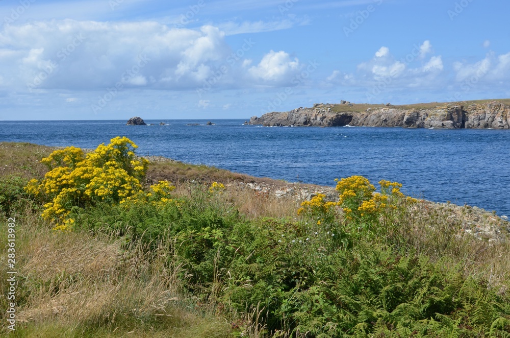Ouessant island, North coast, Brittany, France