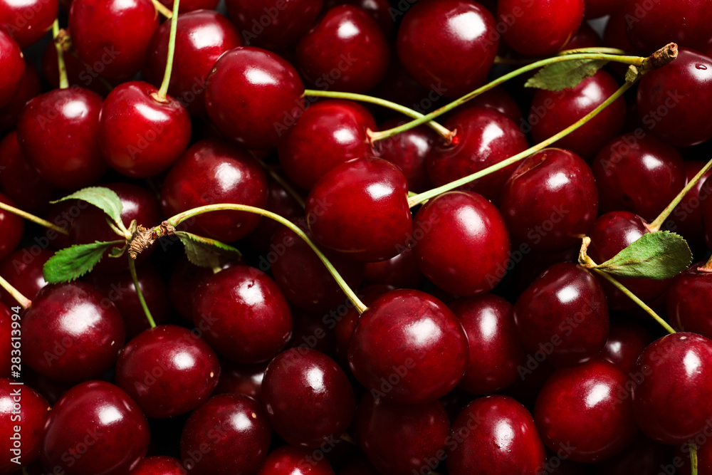 Delicious ripe sweet cherries as background, closeup view Delicious ripe sweet cherries as background, closeup view