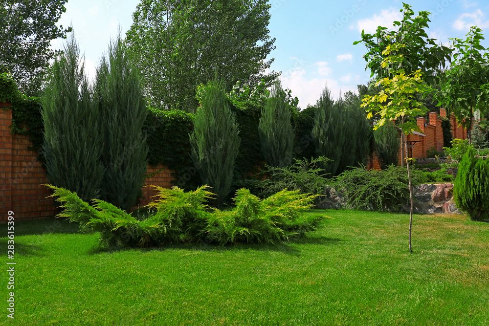 Beautiful green garden with different plants on sunny day - obrazy, fototapety, plakaty 