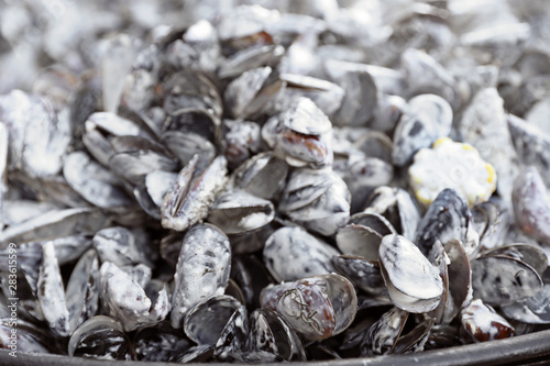 Delicious fresh mussels with sauce in pan, closeup