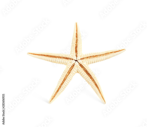 Beautiful starfish on white background. Beach object