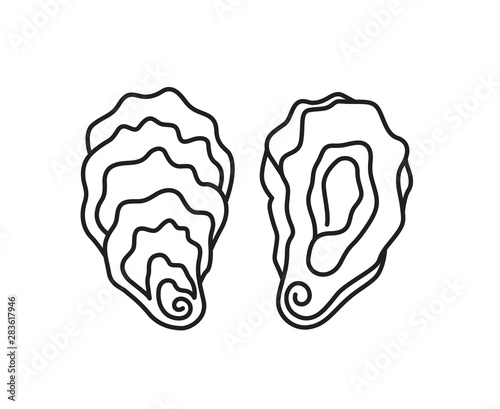 collection of oyster shell isolated on white background