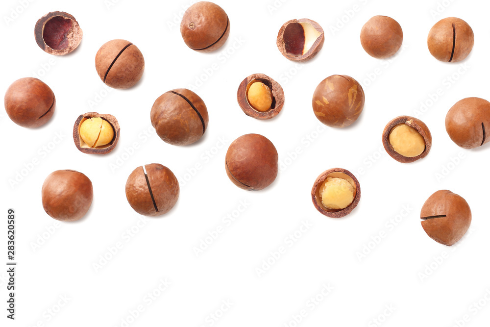 Macadamia nut isolated on a white background. top view Macadamia nut isolated on a white background. top view