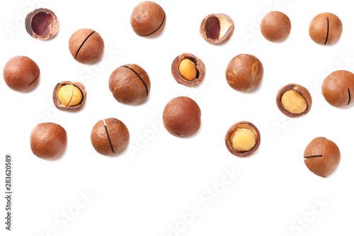 Wallpaper Mural Macadamia nut isolated on a white background. top view Torontodigital.ca