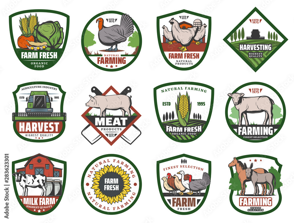 Farm vegetables, animals and birds, barn, tractor Farm vegetables, animals and birds, barn, tractor