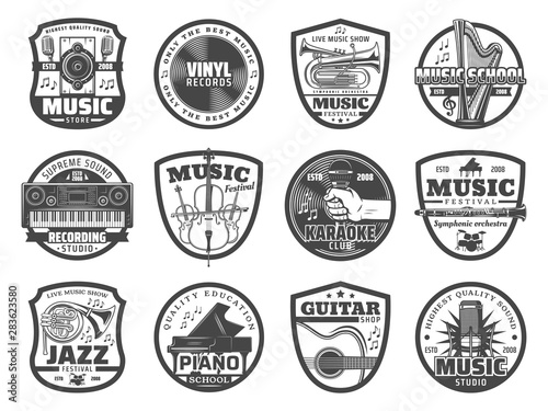 Music instruments, microphones, vinyl records