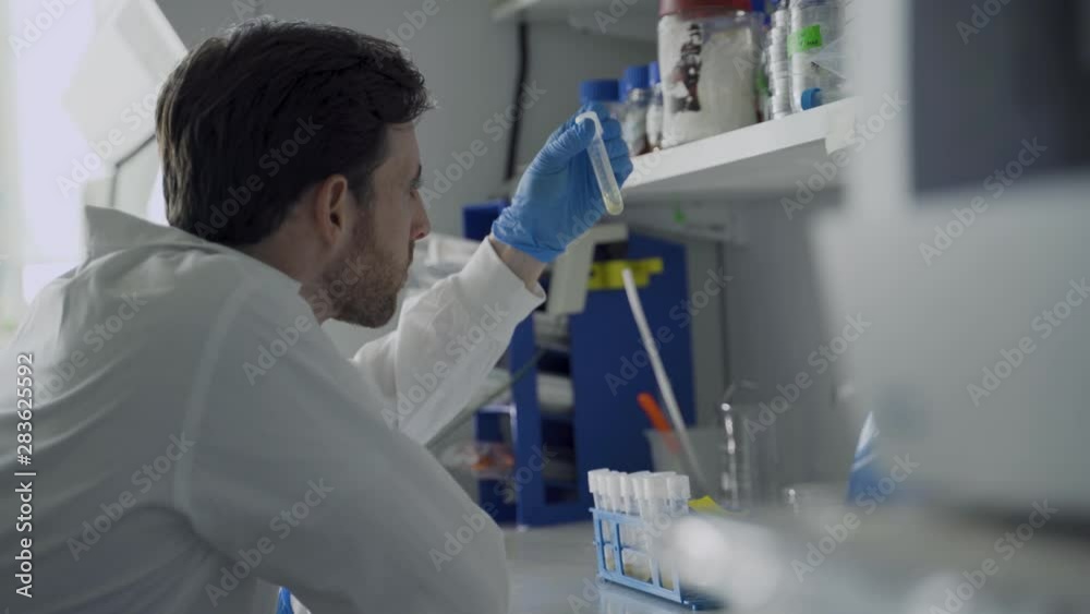 Man sitiing in a lab reviewing different samples of scientific experiments