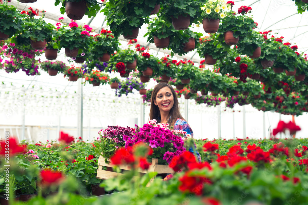 Pretty attractive woman florist walking through garden center and holding crate full of potted flowers arranging them for sale. Pretty attractive woman florist walking through garden center and holding crate full of potted flowers arranging them for sale.