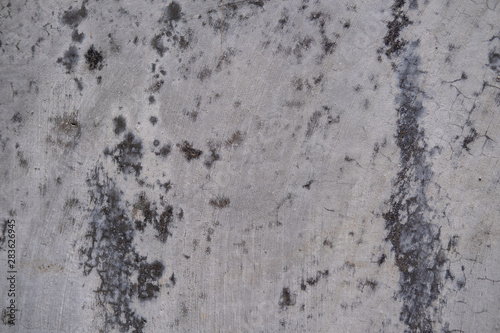 Grey concrete wall, floor texture © Iuliia