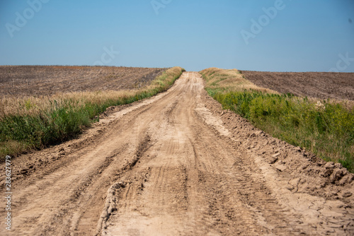 Rural American dirt road in wheat fields