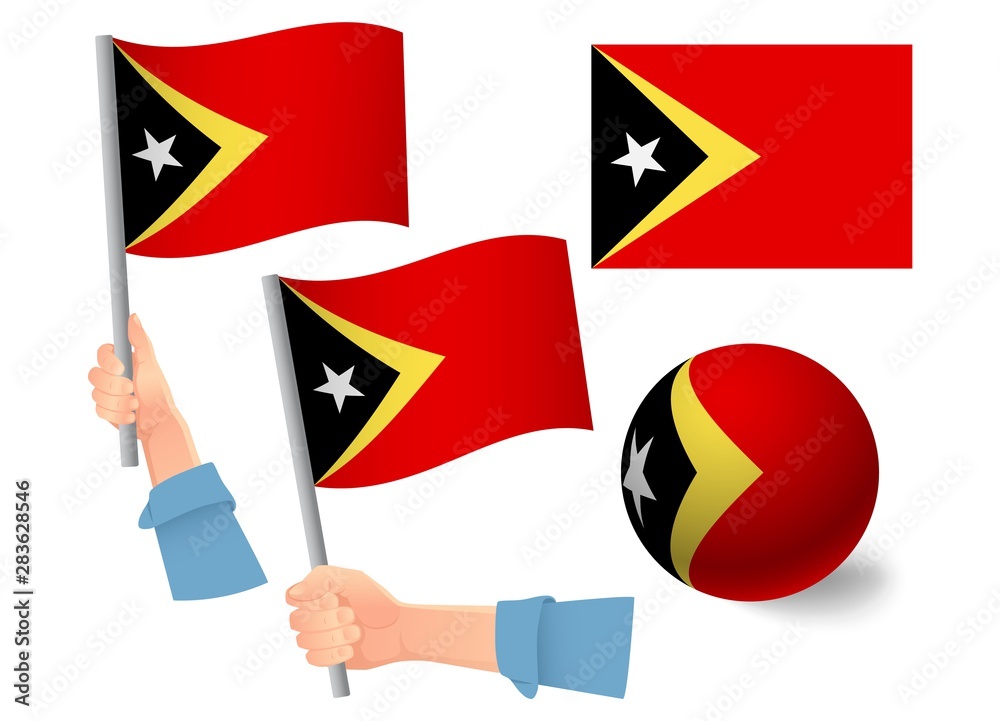 East Timor flag in hand icon East Timor flag in hand icon