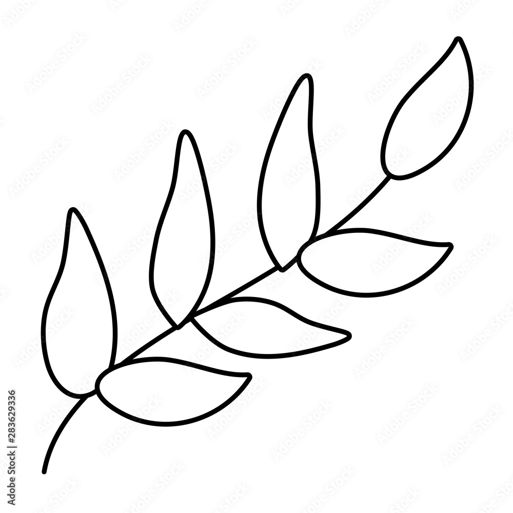 Isolated leaf design vector illustration Isolated leaf design vector illustration