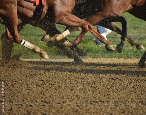 Horse feet galloping on dirt racetrack